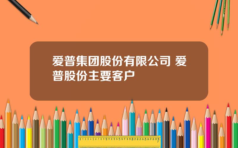 爱普集团股份有限公司 爱普股份主要客户